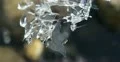 Ultra HD 4K Fairy like sparkling winter tale, ice frozen water natural river 4k or 4k+ Resolution