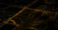 Ultra HD 4K Illuminated Chicago Interstate 290, Circle Interchange, City Night 4k or 4k+ Resolution