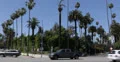 Ultra HD 4K Los Angeles Car Traffic in Beverly Hills, Palm Trees, BLVD, USA 4k or 4k+ Resolution