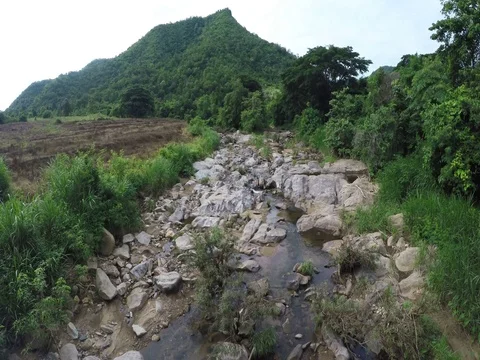 Ultra HD 4K Nature with streams Stock Footage 77993450