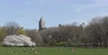 Ultra HD 4K New York City NYC Central Park Cherry Trees Family People Relaxing 4k or 4k+ Resolution