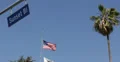 Ultra HD 4K Palm Tree, Sunset Strip Boulevard Sign, Traffic Light, Los Angeles 4k or 4k+ Resolution