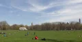 Ultra HD 4K People Relaxing NYC Central Park, Great Lawn, Spring New York City 4k or 4k+ Resolution