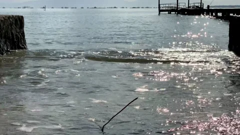 Ultra HD 4K Real-Time Sparkling Ocean Waves at Tanjung Lesung Beach Video stock 339050373