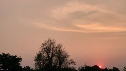 Ultra HD 4K Static Wide Shot of Sunset with Tree Silhouettes Stock Footage 339320559
