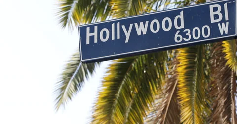 Ultra HD 4K Traffic Pedestrian Crosswalk Hollywood Street Sign Los Angeles Palm Stock Footage