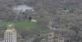 Ultra HD 4K UHD Central Park Cherry Trees Blossom New York City Park Lake Meadow 4k or 4k+ Resolution