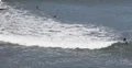 Ultra HD 4K UHD Group of Surfers enter to Surfing in the Ocean, Waves Crashing 4k or 4k+ Resolution