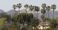 Ultra HD 4K UHD Hollywood Sign and Tower Los Angeles Hills Valley Palm Trees 4k or 4k+ Resolution