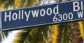 Ultra HD 4K UHD Traffic Hollywood Street Sign Pedestrians Palm Trees Close Up 4k or 4k+ Resolution