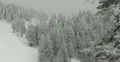 Ultra HD 4K Winter Landscape, Beautiful Mountains in Cold Season, Fir Tree 4k or 4k+ Resolution
