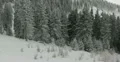 Ultra HD 4K Winter Landscape, Beautiful Mountains in Cold Season, Fir Tree 4k or 4k+ Resolution