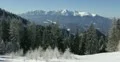Ultra HD 4K Winter Landscape, Beautiful Mountain Valley, Cold, Fir Tree 4k or 4k+ Resolution
