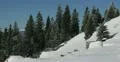 Ultra HD 4K Winter Landscape, Beautiful Mountains in Cold Season, Fir Tree 4k or 4k+ Resolution