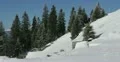 Ultra HD 4K Winter Landscape, Beautiful Mountains in Cold Season, Fir Tree 4k or 4k+ Resolution