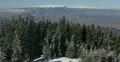Ultra HD 4K Winter Landscape, Beautiful Mountains in Cold Season, Fir Tree 4k or 4k+ Resolution