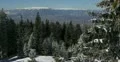 Ultra HD 4K Winter Landscape, Beautiful Mountains in Cold Season, Fir Tree 4k or 4k+ Resolution
