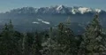 Ultra HD 4K Winter Landscape, Beautiful Mountains in Cold Season, Fir Tree 4k or 4k+ Resolution