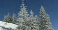 Ultra HD 4K Winter Landscape, Beautiful Mountains in Cold Season, Fir Tree 4k or 4k+ Resolution