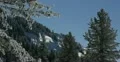 Ultra HD 4K Winter Landscape, Beautiful Mountains in Cold Season, Fir Tree 4k or 4k+ Resolution