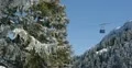 Ultra HD 4K Winter Landscape, Resort Cable Car in Beautiful Mountains in Cold 4k or 4k+ Resolution