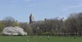 Ultra HD 4K Young Boys Play Ball People Playing, Throwing Frisbee Central Park 4k or 4k+ Resolution