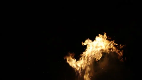 Ultra HD Dynamic Fire Element on Bottom of Black Background Stock Footage 319824041