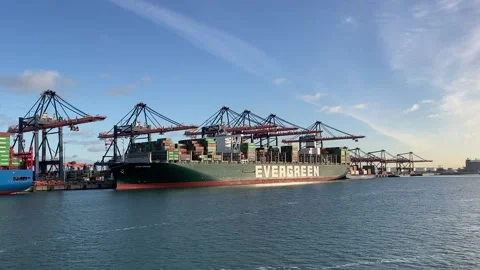 Ultra Large container vessel ''EVER GRADE''moored in Rotterdam Europort Stock Footage 158936080