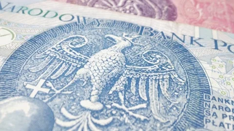 Ultra  macro shot of multiple Polish zloty banknotes in motion. 스톡 동영상 301781886