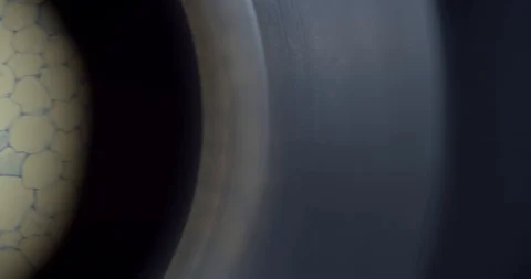 Ultra Macro through microscope of leaf epidermis amazing texture Stock Footage 110687458