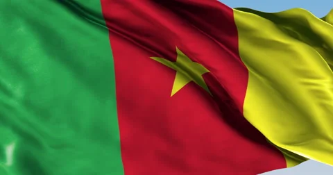 Ultra realistic looping flag: Cameroon Stock Footage 61219971