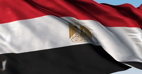 Ultra realistic looping flag: Egypt Vídeos de archivo 61211754