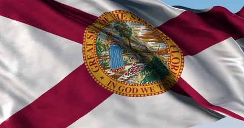 Ultra realistic looping flag: Florida Flag Vídeo Stock 61459293