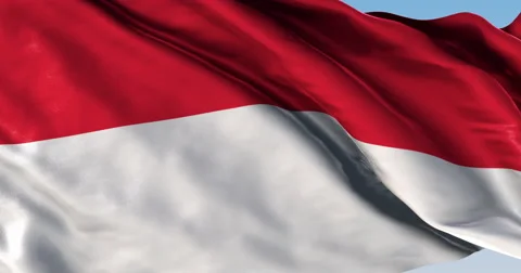Ultra realistic looping flag: Monaco Stock-Footage 61337983
