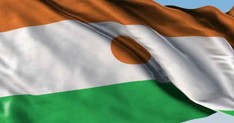 Ultra realistic looping flag: Niger Stock Footage 61238330