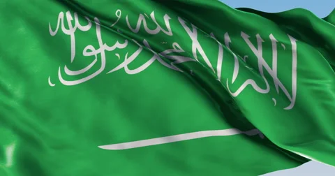 Ultra realistic looping flag: Saudi Arabia Vídeo Stock 61335541