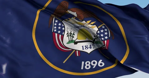 Ultra realistic looping flag: Texas Flag Vídeo Stock 61451861