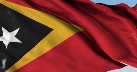 Ultra realistic looping flag: Timor Leste Stock Footage 61325046