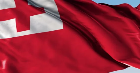 Ultra realistic looping flag: Tonga Stock Footage 61328966