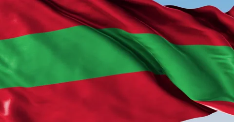 Ultra realistic looping flag: Trans Dniester Republic Stock Footage 61318655