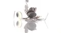 ultra slo mo dimes drop on glass white background high angle HD Footage