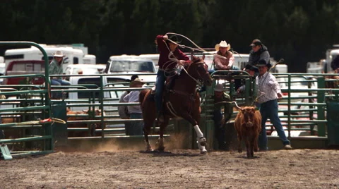 Ultra-slow motion shot of a cowgirl roping a calf at a rodeo Stock Footage