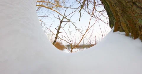 The ultra-wide-angle camera passes through the snow-covered trunk of a poplar tr Stock Footage 260366786