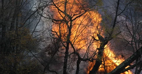 UltraHD 4K Large Fire Flames Destroy Nature Wild Forestry Mountain Forest Smoke Stock Footage 41657247