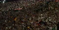 UltraHD 4K UHD Football Team Fans Scream Goal Germany Argentina Munich Stadium 4k or 4k+ Resolution