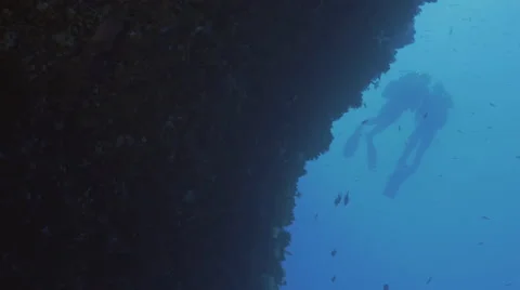 UltraHD under water low angle shot of two scubadivers at reef Video stock 52316543