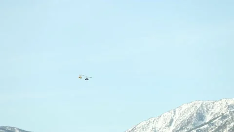 Ultralight flying over the Carson Valley with Snowy Mountains Stock Footage 200813161