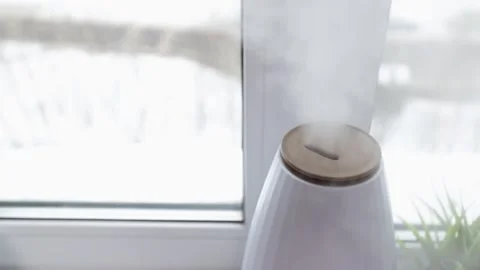 Ultrasonic diffuser near the window, adding moisture to dry winter air, hom.. Stock Footage 262145551