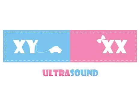 Ultrasound Stock Illustration