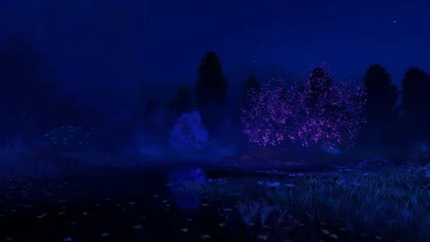 Ultraviolet Spring Night 01 Stock-Footage 125352618